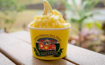 Pineapple Joy Unleashed: The Scoop on Dole Whip and DIY Delights